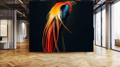 Golden bird of paradise posing with its long orange feathers Wall mural