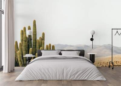 Group of saguaro cactus growing in arizona desert landscape Wall mural