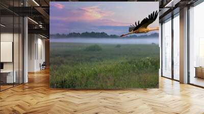 Panorama of peaty meadow with White Stork Wall mural