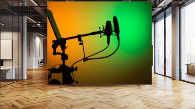 Voiceover studio microphone Wall mural