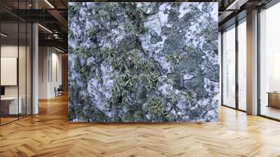 Rock Background Texture - abstract nature background - white qua Wall mural