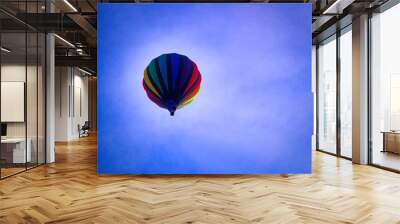 hot air balloon Wall mural