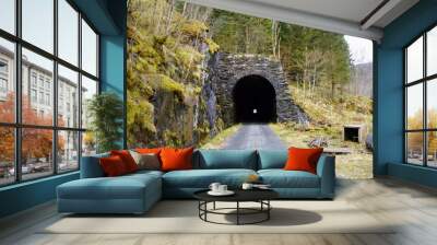 old stone tunnel Wall mural