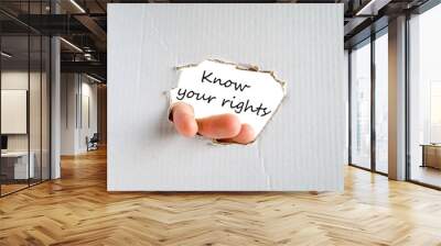 Know your rights text concept Wall mural