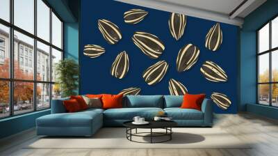 Set with delicious fresh Sunflower seeds organic food healthy food Falling in the air, isolated on a dark background. Food float concept Vector illustration. Easy fix. Wall mural