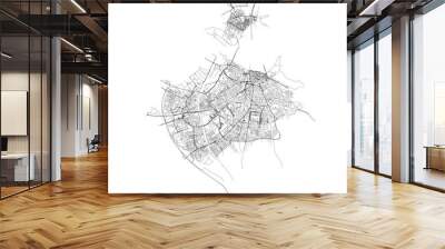 Nijmegen city map with roads and streets, Netherlands. Vector outline illustration. Wall mural