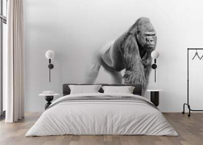 Gorilla africa wildlife animal art collection grayscale white edition Wall mural