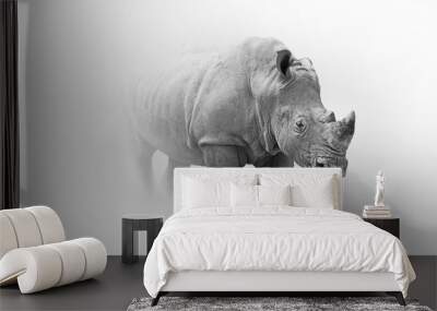 Rhino africa wildlife animal art collection grayscale white edition Wall mural