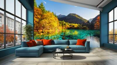 amazing view of submerged tree trunks in the five flower lake Wall mural