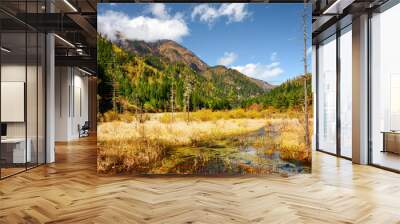 Beautiful view of semi-marsh lake among fall woods and mountains Wall mural