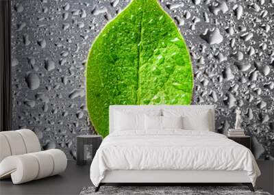 Green leaf lying on scratched metal Wall mural