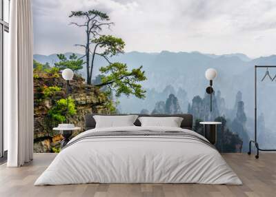 Green tree growing on top of rock (Avatar Mountains) Wall mural