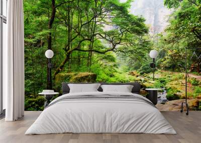 Scenic view of river with crystal clear water and mossy stones Wall mural