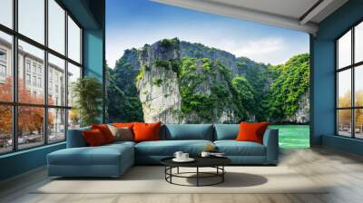 Scenic view of rock pillar and karst isles in the Ha Long Bay Wall mural