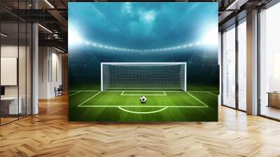 Stadium with soccer ball Wall mural