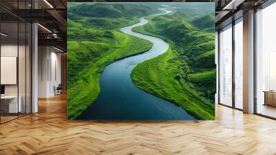 An aerial view of a winding river cutting through a lush green landscape Wall mural