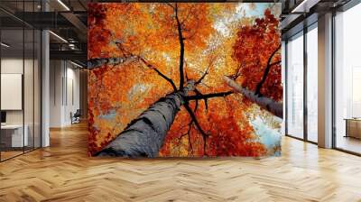 Fall season city landscape Wall mural