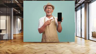 Portrait of Happy Asian Chinese Senior Adult man wearing brown apron point finger on mobile phone or smartphone with blank screen on color background studio. Wall mural