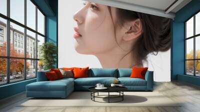 Gorgeous Asian Young Female Model - Fashion or Cosmetics Model - Surreal Beauty with Perfect Fine Features - Beautiful Smooth Hair Wall mural