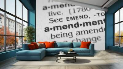 Amendment Wall mural