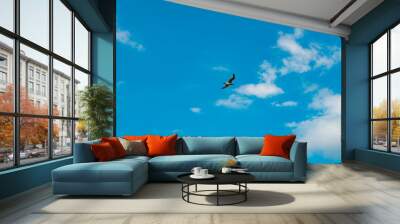 a bird is flying in the sky Wall mural