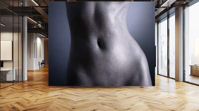 Nude woman with silver make-up Wall mural