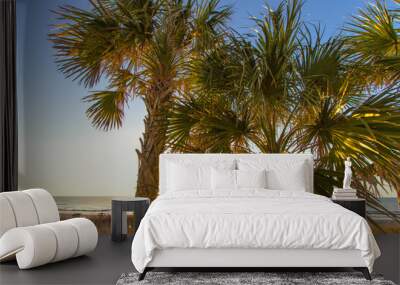 Grove of Palmetto trees at sunrise on a beach in Myrtle Beach, South Carolina, USA. Wall mural