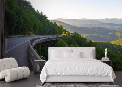 Winding mountain road along the Foothill Parkway In Tennessee. Wall mural