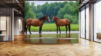 Horse-on-the-bank-of-river Wall mural