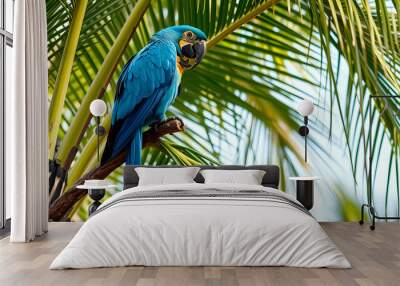 hyacinth macaw on a palm tree in the nature habitat, realistic, hyperdetails Wall mural