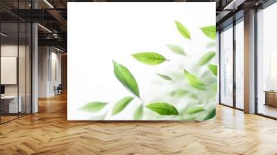 Green flying leaves isolated on white background with place foe text. Fresh tea, air purifier, organic, vegan, eco or beauty product concept design Wall mural