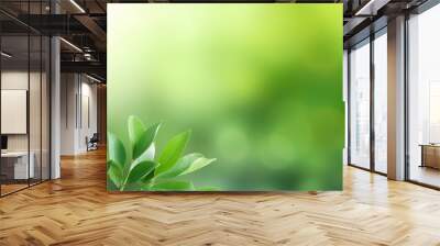 Green leaves eco-friendly background with place for text. Concept of ecology and healthy environment Wall mural