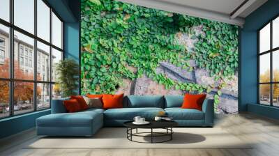 Grass background leaves on the wall, natural decoration. Wall mural