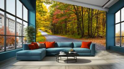 Beautiful Autumn scenic empty road and leaves in the fall Wall mural