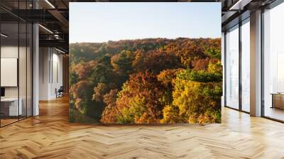 Autumn colors on the Illinois River as the morning sun lights up the tree tops.  Starved Rock State Park, Illinois, USA Wall mural