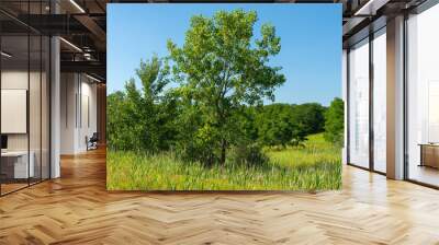 Landscape at Buffalo Rock State Park. Wall mural