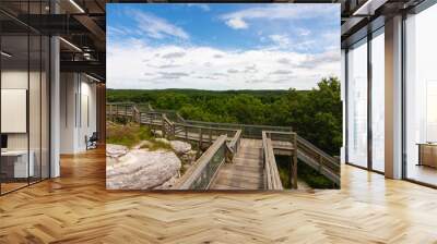 Overlook in Castle Rock Wall mural