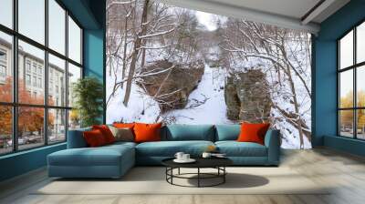 Snow covered canyons. Wall mural