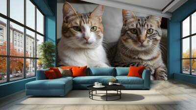 Two Domestic Cats Resting on a Couch Wall mural