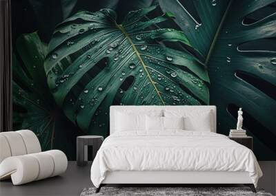 Large foliage of tropical leaf in dark green with rain water Wall mural