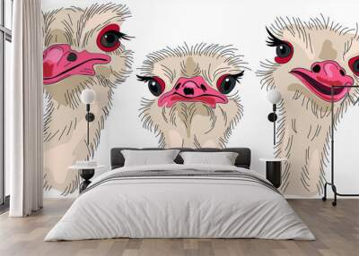  Three funny ostrich closeup isolate on  white background.  Vector illustration for t-shirts, sweatshirt, fabric. Wall mural