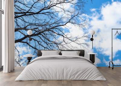 bare tree branches under blue sky with clouds Wall mural