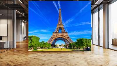 Paris Eiffel Tower and Champ de Mars in Paris, France. Eiffel Tower is one of the most iconic landmarks in Paris. The Champ de Mars is a large public park in Paris Wall mural