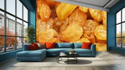 A handful of raisins. Wall mural