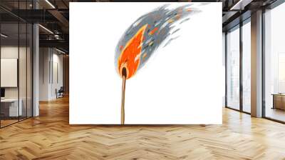 Burning match. Flame. Wall mural