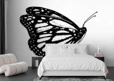 Butterfly Monarch. Vector Hand drawn illustration. Black and white graphic clip art on isolated background. Drawing of an insect sitting with folded wings. Sketch for coloring books and cards Wall mural