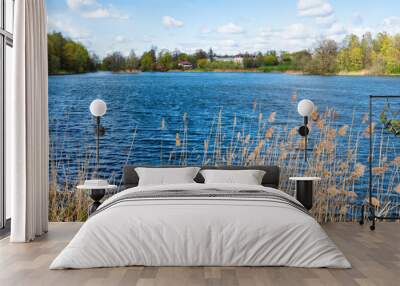 dried grass on lake shore in park in Gatchina Wall mural