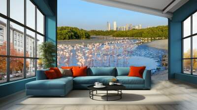 flamingo at Ras Al Khor Wildlife Sanctuary in Dubai Wall mural