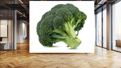 Fresh broccoli isolated on white background with clipping path Wall mural