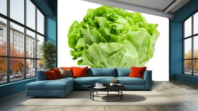 Fresh lettuce isolated on white background with clipping path Wall mural